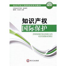 知識產(chǎn)權(quán)國際保護(hù) 全球化背景下的挑戰(zhàn)與應(yīng)對
